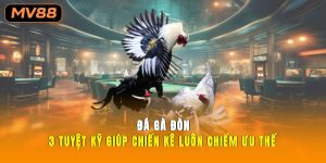 Đá Gà Đòn 3 Tuyệt Kỹ Giúp Chiến Kê Luôn Chiếm Ưu Thế