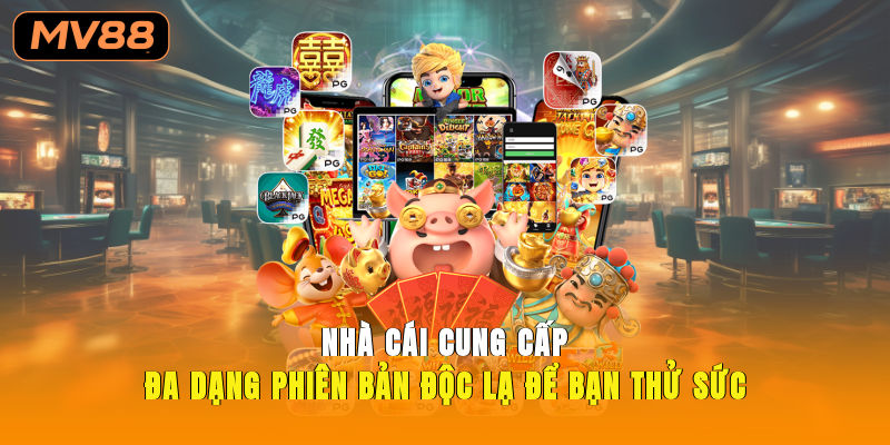 Nhà cái cung cấp đa dạng phiên bản độc lạ để bạn thử sức