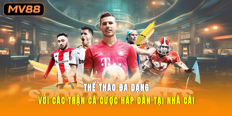 Thể thao đa dạng với các trận cá cược hấp dẫn tại nhà cái 